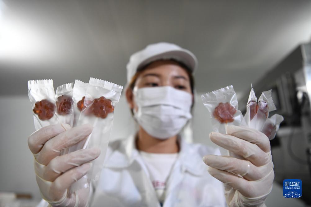 电脑怎么下载申博