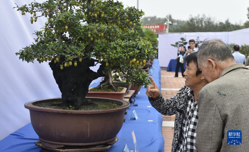 太阳城游戏官网